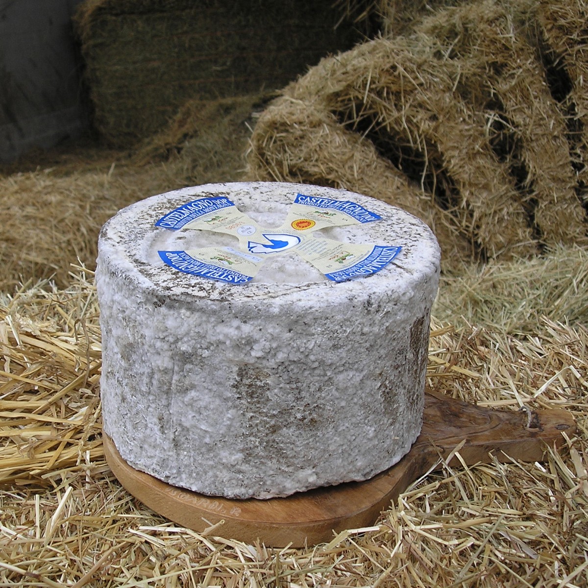 Cooperativa agricola le delizie di montagna CASTELMAGNO DOP 